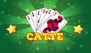Catte tại BMWBet